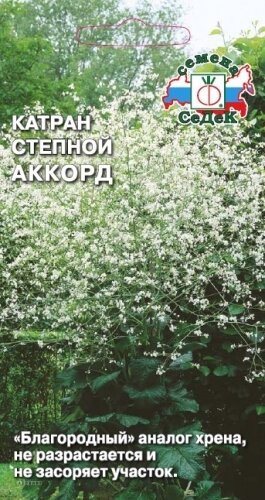 Катран Аккорд 03гр. (Поиск)