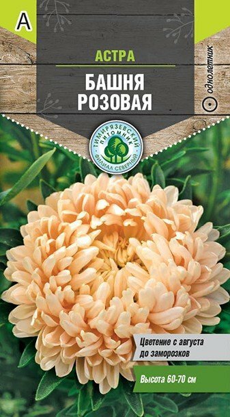 Семена Тимирязевский питомник цветы астра Башня розовая (пионовидная) 0,2г