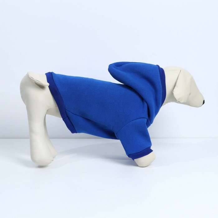 Толстовка однотонная для собак (футер с начесом), размер XS (ДС 20, ОШ 24-25, ОГ 32-36), синяя - фотография № 5