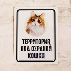 Металлическая табличка на забор Территория под охраной рыжей кошки , идея подарка кошатнику , металл, 20х30 см