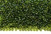 Бисер японский MIYUKI круглый 11/0 #0350 салатовый/оливковый, окрашенный изнутри, 10 грамм - изображение