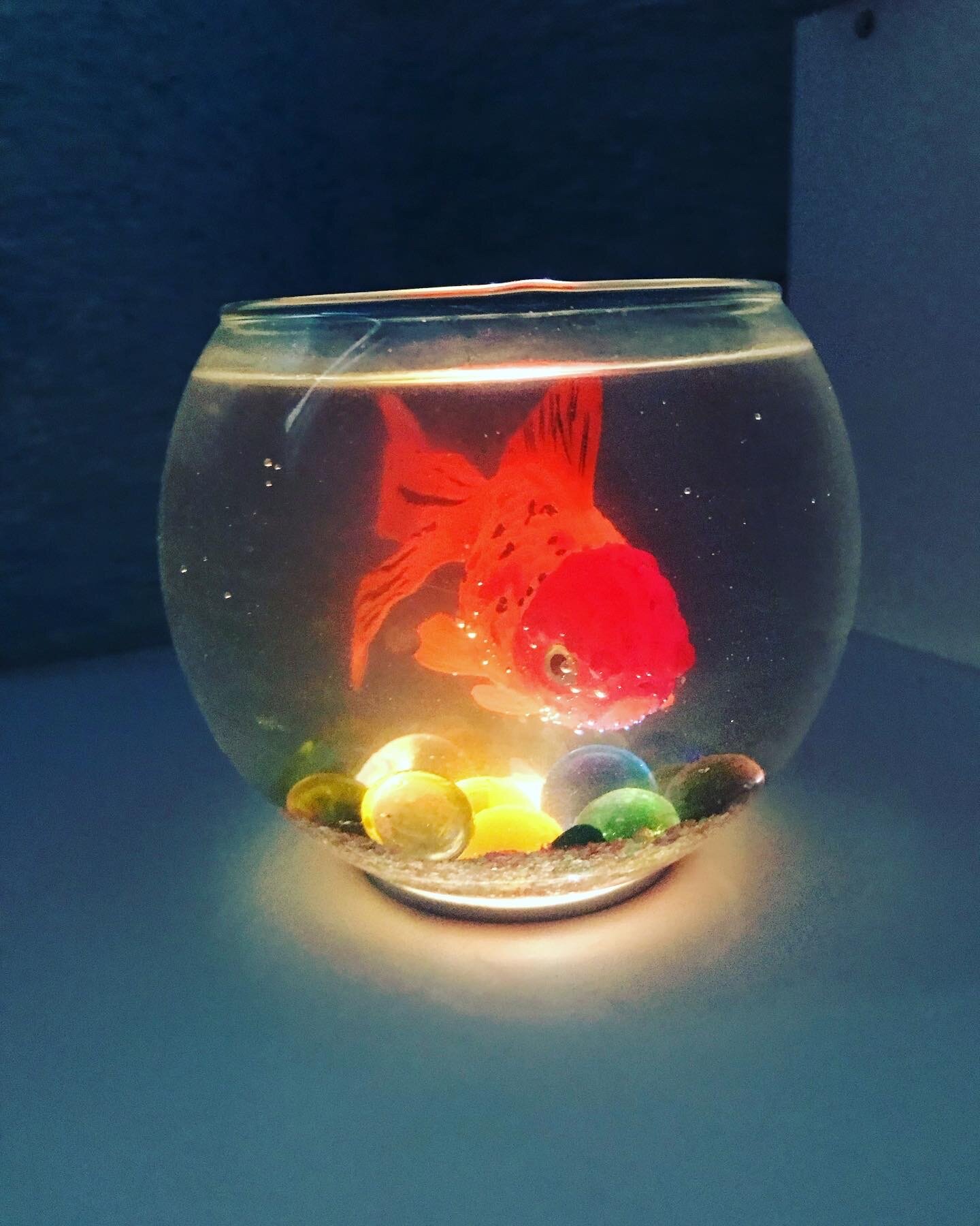 Мини Аквариум с золотой рыбкой - фотография № 17