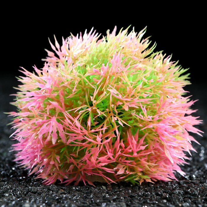Растение - шар для аквариума, 13 см, розовое - фотография № 1
