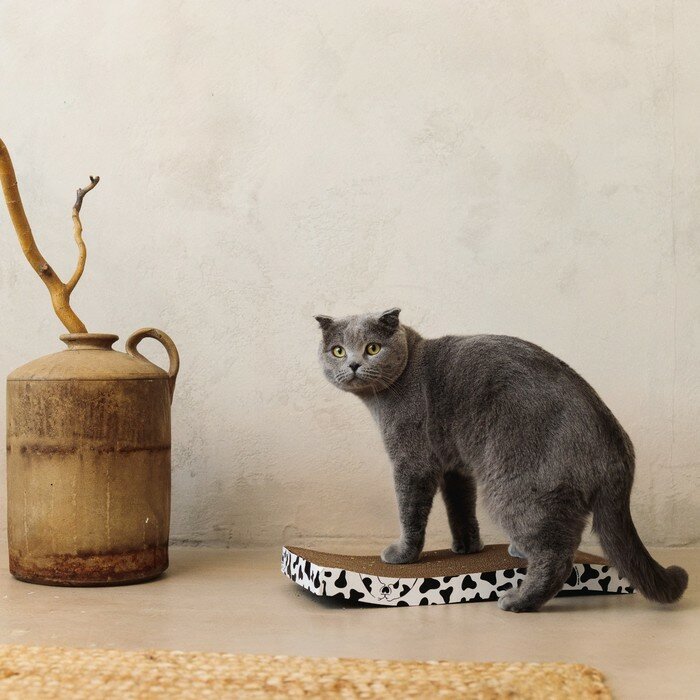 Когтеточка из картона с кошачьей мятой Moo-meow, волна, 22 х 45 см - фотография № 4