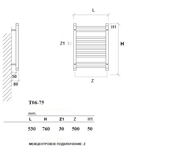 Quadro Bone 100x50 (см) Полотенцесушитель водяной Белый - фотография № 5