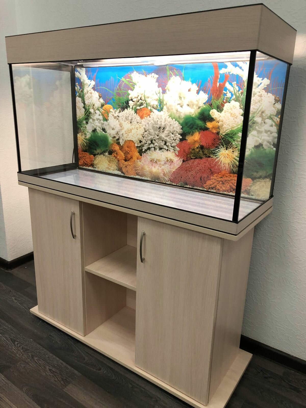  200  AquariumBest     () 1013658 ()