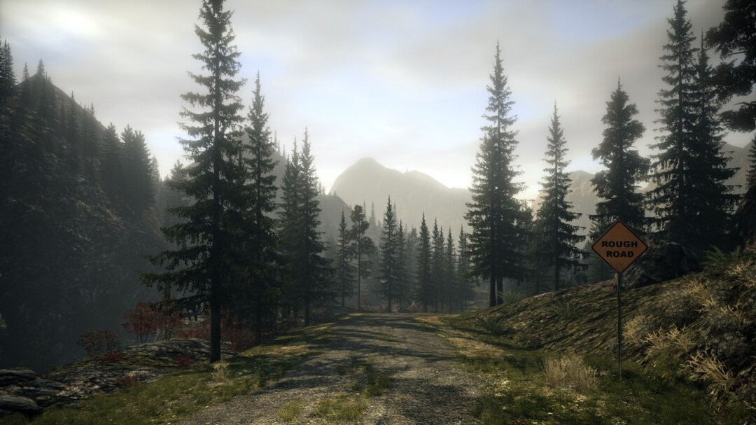 Alan Wake Игра для Xbox 360 Nobrand - фото №7