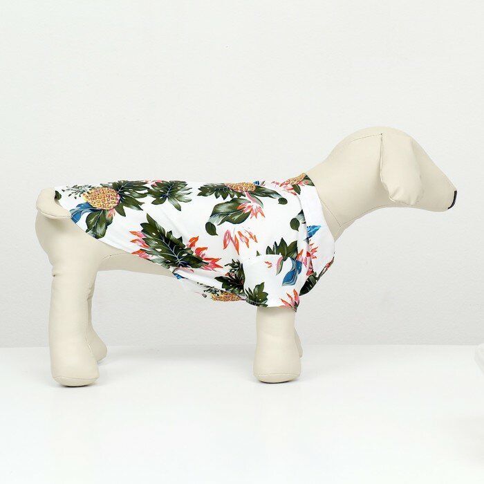 Рубашка для собак "Тропики", S (ДС 24, ОГ 30, ОШ 23 см), белая - фотография № 2
