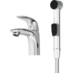 Смеситель для раковины Damixa Palace Bit с гигиеническим душем (310300000)