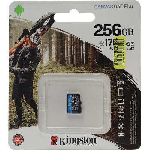 SD карта Kingston Canvas Go! Plus SDCG3/256GBSP