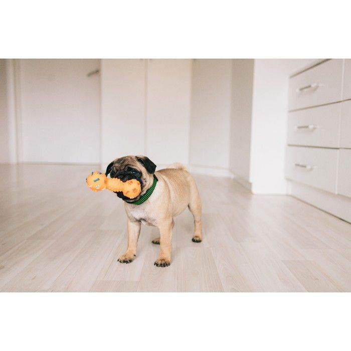 Игрушка пищащая Гантель с лапками для собак, 13 см, розовая, 1 шт. - фотография № 4