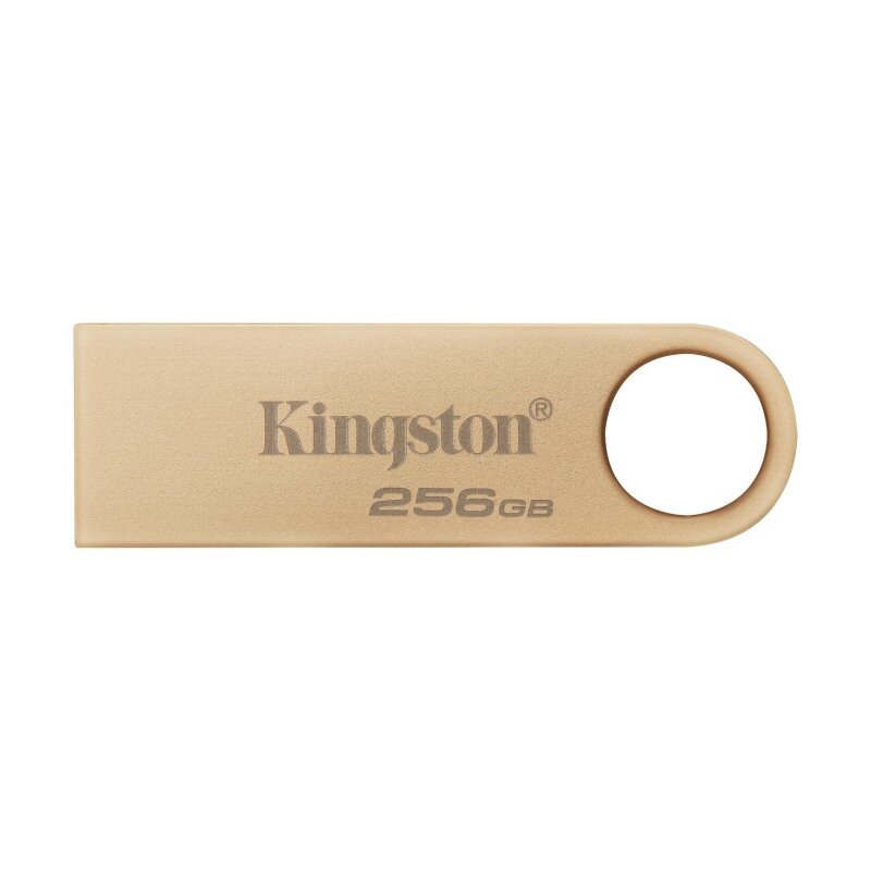 Флеш Диск Kingston 256GB DataTraveler SE9 DTSE9G3/256GB USB3.0 серебристый