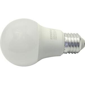 Лампа светодиодная Ergolux LED-A60-10W-E27-6K