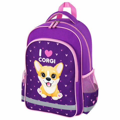 Рюкзак пифагор SCHOOL для начальной школы, «I love corgi», 38×28×14 см