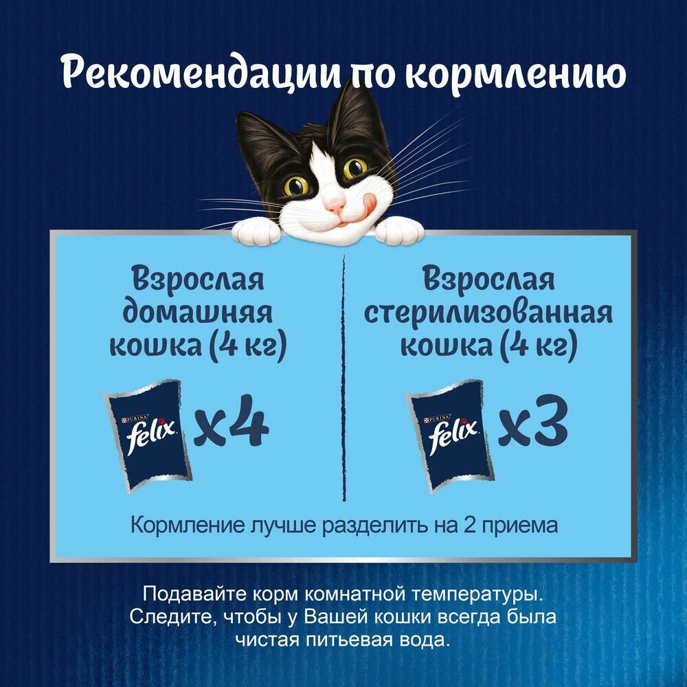 Влажный корм, "Felix Sensations", для взрослых кошек, лосось в желе со вкусом трески, 75г 6 шт - фотография № 5