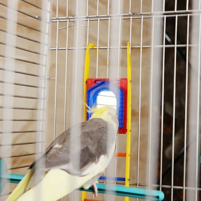 Бриллиант Игрушка для птиц лестница с зеркалом, микс цветов - фотография № 3
