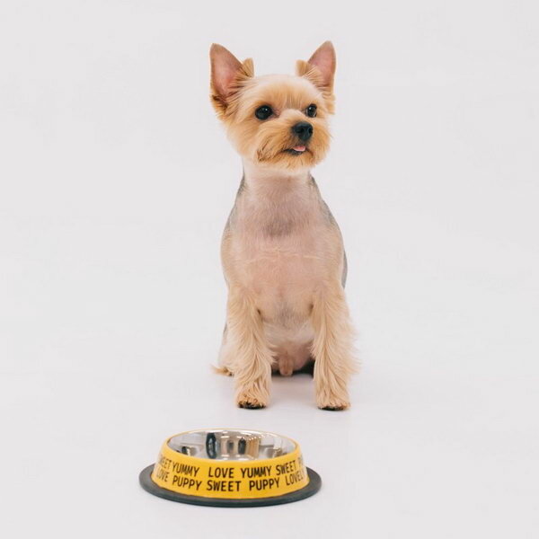 Миска металлическая для собаки с нескользящим основанием Puppy, 235 мл, 15х3.5 см - фотография № 3
