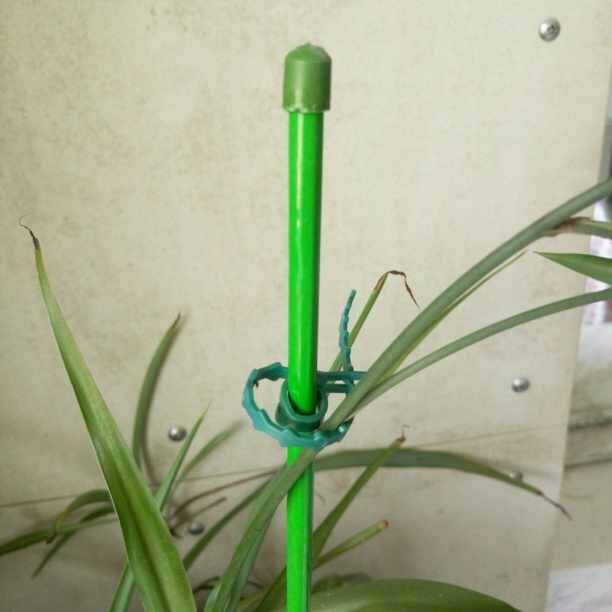 Опора бамбуковая в пластике d10-12 мм h120 см (1 ед.) - фотография № 3