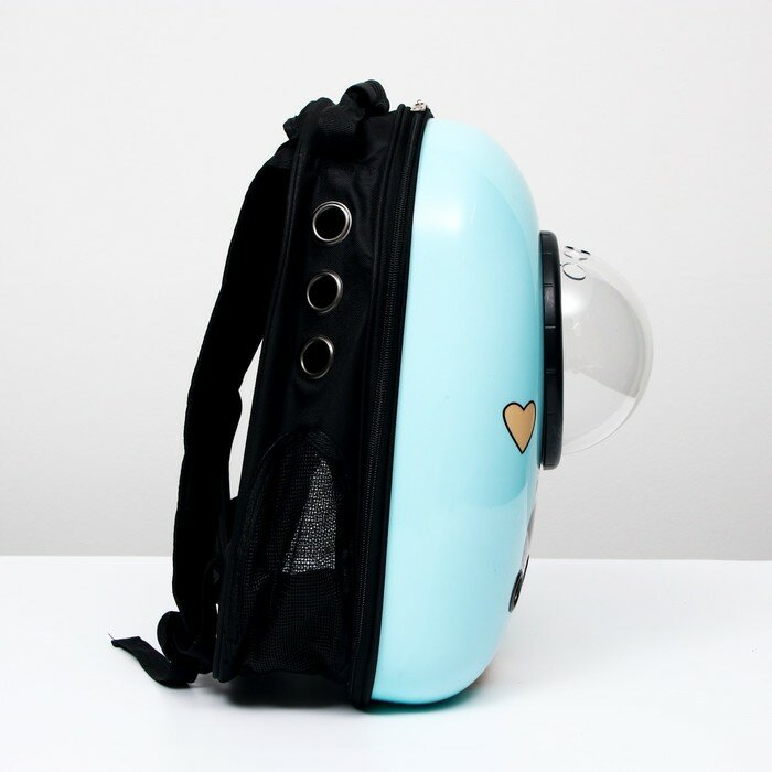 Рюкзак для переноски животных "Гламуррр", с окном для обзора, 32 х 25 х 42 см, голубой - фотография № 2