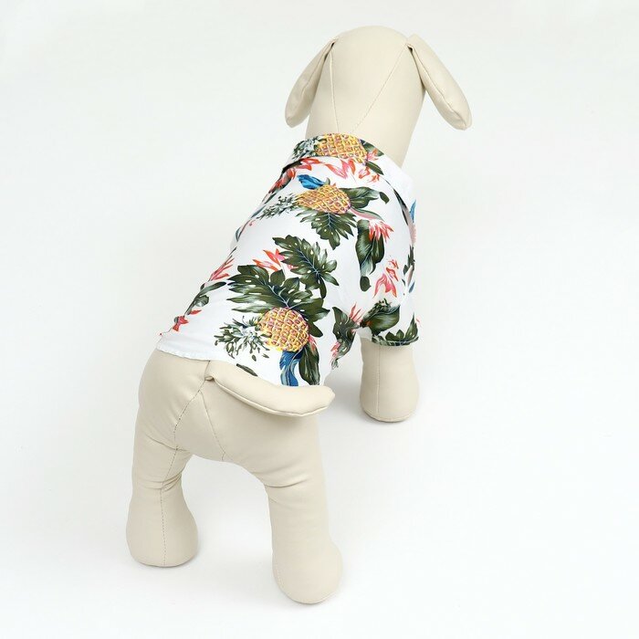 Рубашка для собак "Тропики", L (ДС 28, ОГ 36, ОШ 26 см), белая - фотография № 3
