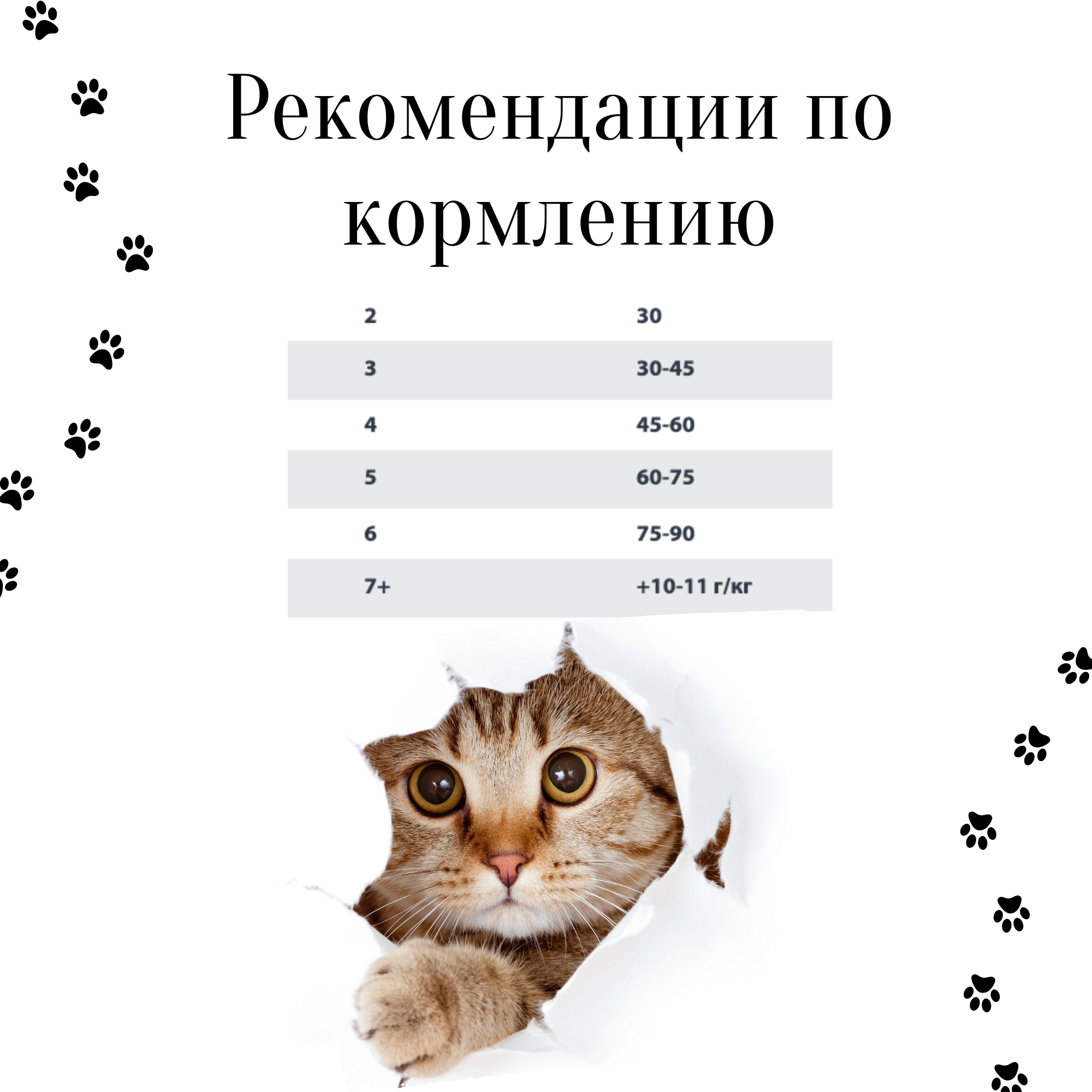 Gina Cat Rabbit & Rice Serbia (корм для взрослых кошек с нормальным уровнем активности) - фотография № 2