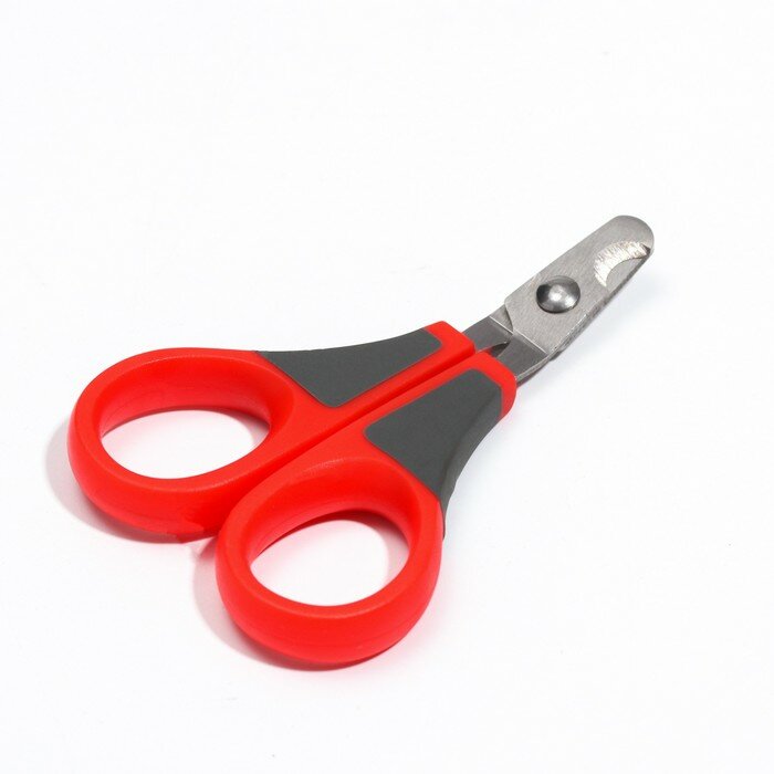 фото Пижон Ножницы-когтерезы изогнутые, отверстие 7 мм, бордовые с серым