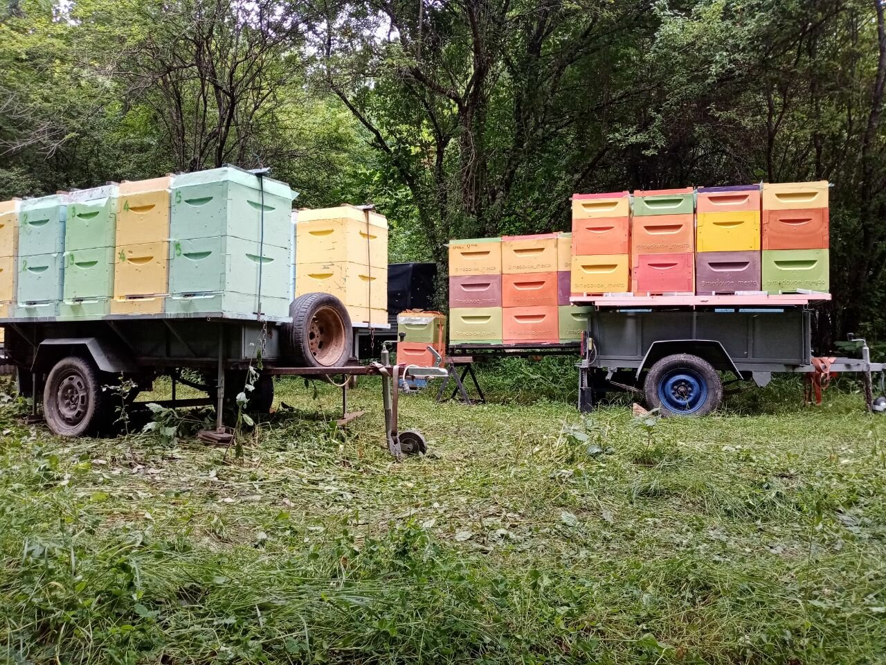 Мёд горный натуральный собранный в горах Кавказа 900гр - фотография № 8
