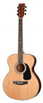 Акустическая гитара HOMAGE LF-4021 - изображение
