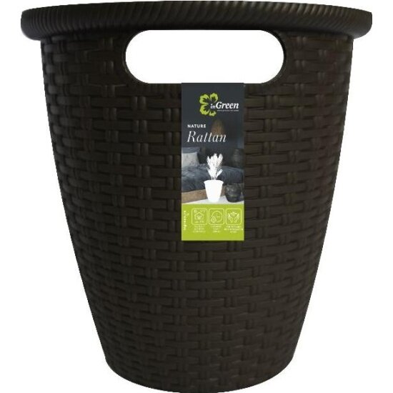  INGREEN  Rattan 10     6    (ING6215)