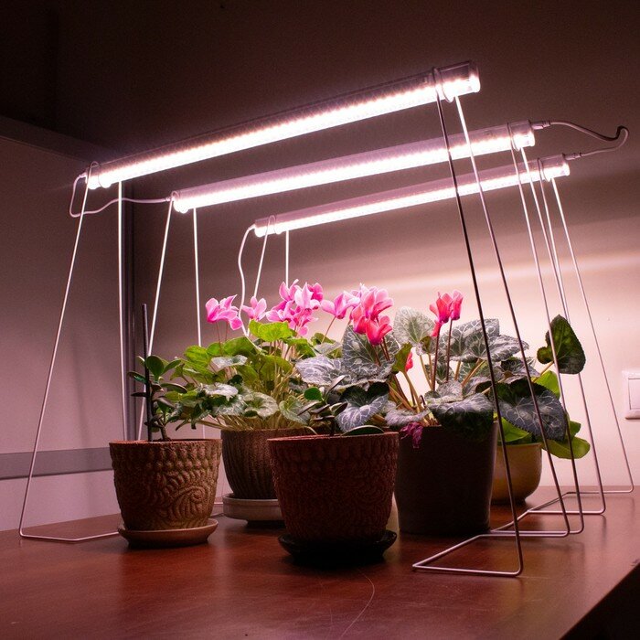 Светильник для растений линейный, 9 Вт, L572мм, розовый спектр - фотография № 3