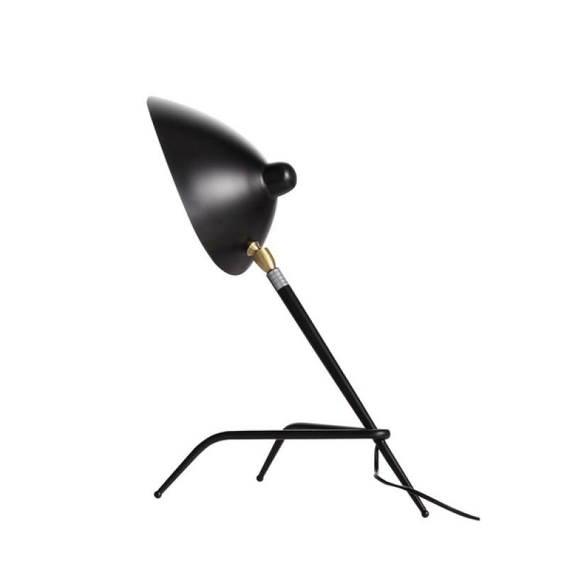 Интерьерная настольная лампа ST Luce Spruzzo SL305.404.01