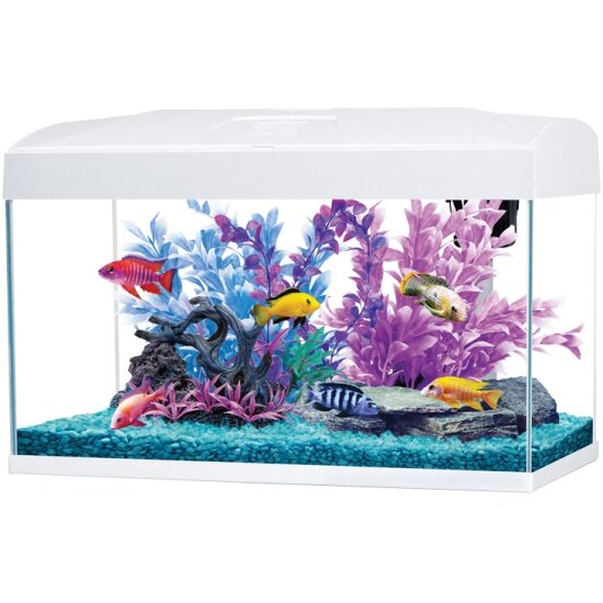  AA-AQUARIUM AA Aquarium Basic 54, , 58,530,538,5 