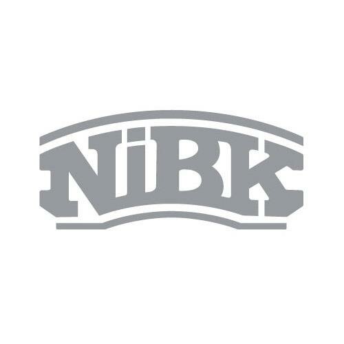 Nibk NIBK Диск тормозной NIBK RN1241 комплект 2 шт