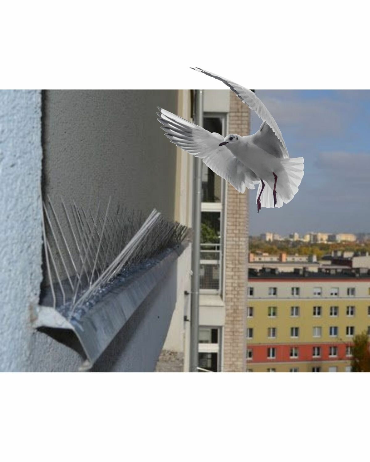 Защита от птиц Eurovent ANTIBIRD DUO 335*110*60мм, шипы металлические для безопасности крыш, окон, карнизов, подоконников, фасадов, шт. - фотография № 3