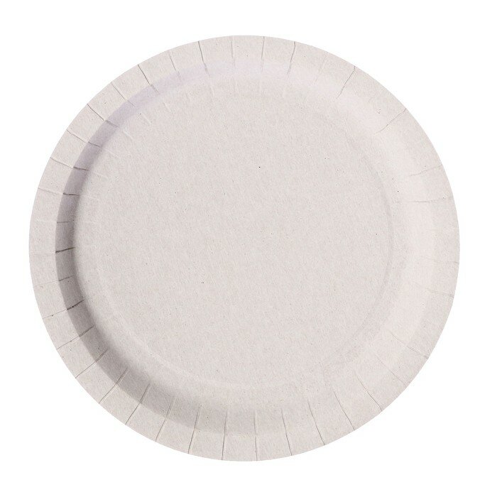 Набор бумажных тарелок «Смола», синяя, в т/у плёнке, 6 шт, d=230 мм - фотография № 2