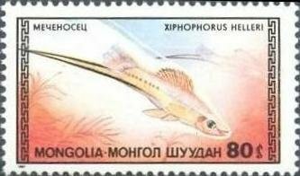 (1987-006) Марка Монголия Меченосец Аквариумные рыбки III Θ