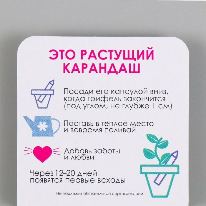 Растущие карандаши mini "Ель голубая" — фото 3
