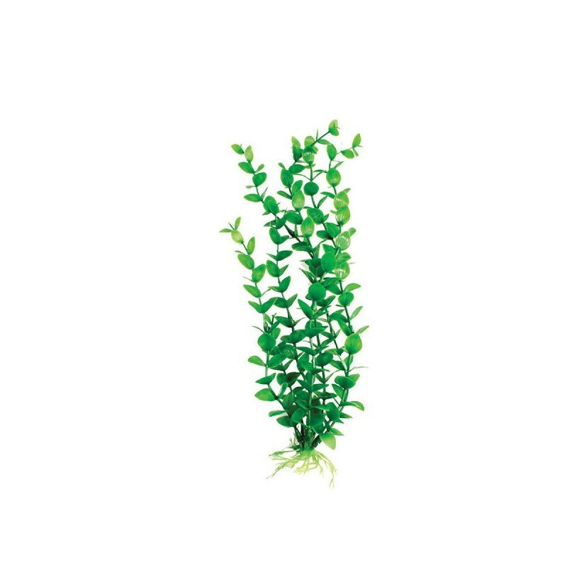Пластиковое растение Бакопа зеленая 30см (Барбус) Plant 010/30