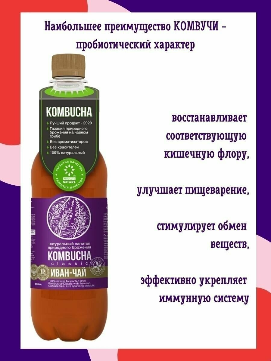 KOMBUCHA Напиток на чайном грибе, 12шт/0.555л - фотография № 3