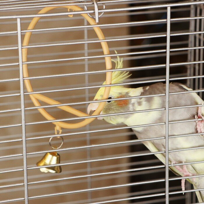 Пижон Качели для птиц круглые d 11,5 см, с колокольчиком, бежевые - фотография № 2