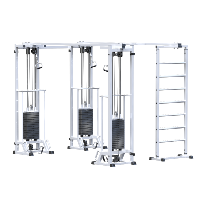 Биотонус-3+шведская стенка стек 3х75кг AR087.3х2400 s-dostavka ARM