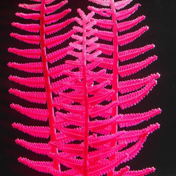 Растение силиконовое аквариумное, светящееся в темноте, 8 x 23 см, розовое - фотография № 3