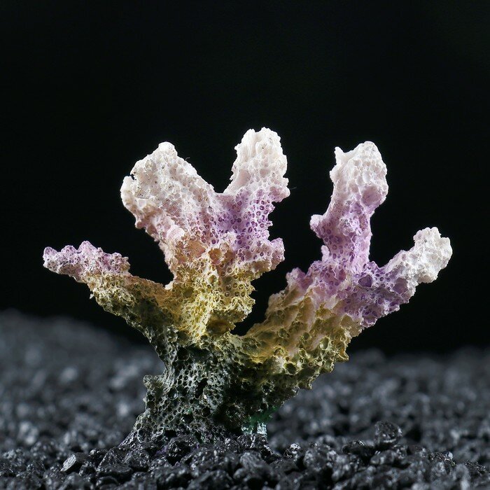Декоративный коралл "Синулярия", 7 х 4 х 7 см - фотография № 1