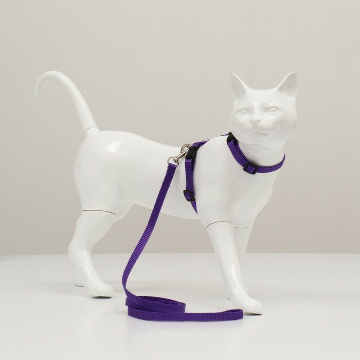 Комплект для кошек, ширина 1 см, ОШ 16,5-27 см, ОГ 21-35 см, поводок 120 см, фиолетовый - фотография № 1