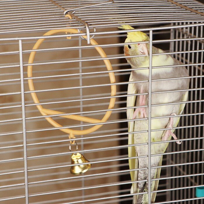 Качели для птиц круглые d 11,5 см, с колокольчиком, бежевые - фотография № 1