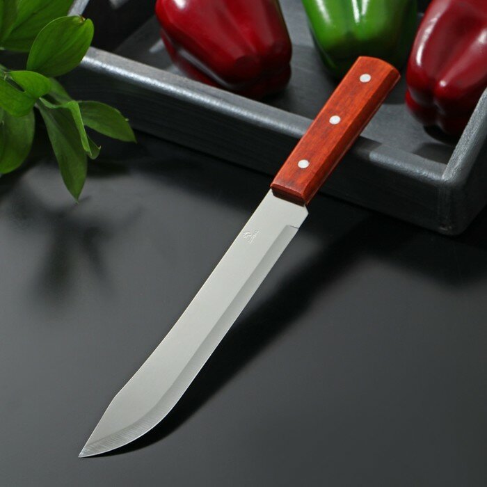 Доляна Нож кухонный Доляна «Мачете», лезвие 20 см
