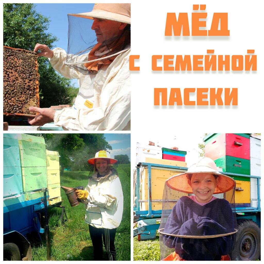 Мёд липовый 1 литр, натуральный мёд с Кавказа - фотография № 3