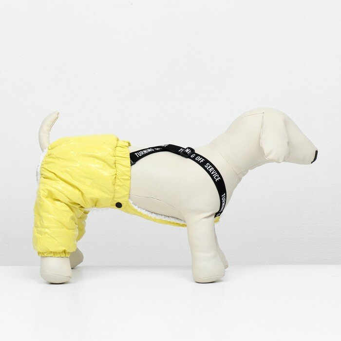 Комбинезон-штаны для собак, размер M (ДС 36, от 40 см), жёлтый - фотография № 2