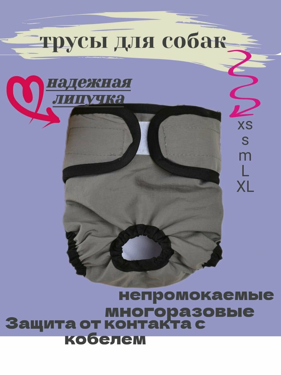 фото Трусы для собак памперс для собак