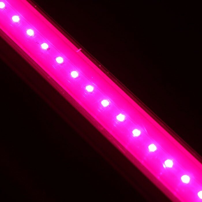Фитосветильники ЭРА Фитосветильник светодиодный, 14 Вт, 872 мм, IP20, сине-красный спектр, фиолетовый, «ЭРА» - фотография № 9